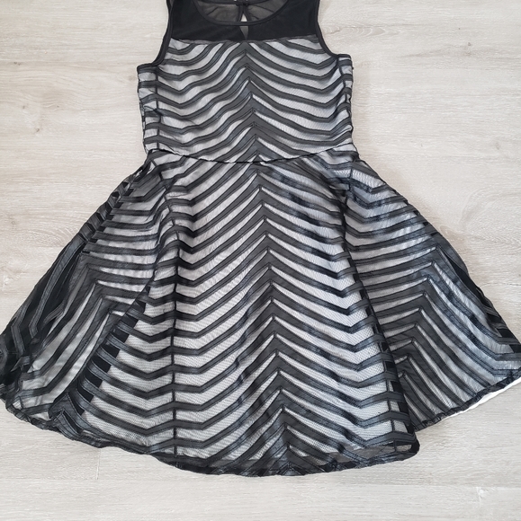 Nicole Miller Dresses & Skirts - Nicole Miller black and white sheer faux leather zebra stripes dress size medium